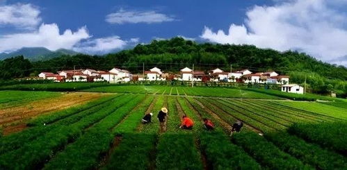 甘肅 最不甘肅 的小城 徽縣